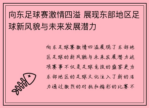 向东足球赛激情四溢 展现东部地区足球新风貌与未来发展潜力