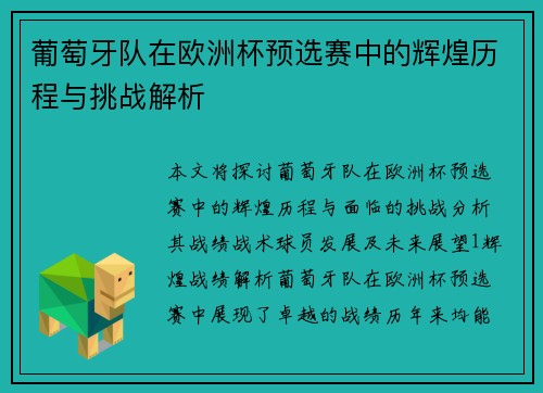 葡萄牙队在欧洲杯预选赛中的辉煌历程与挑战解析