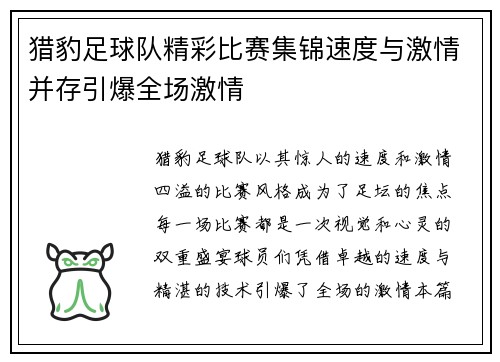 猎豹足球队精彩比赛集锦速度与激情并存引爆全场激情