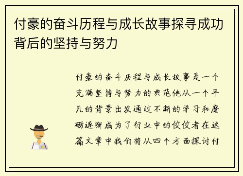 付豪的奋斗历程与成长故事探寻成功背后的坚持与努力