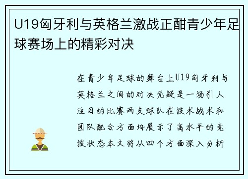 U19匈牙利与英格兰激战正酣青少年足球赛场上的精彩对决