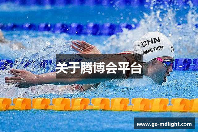 关于腾博会平台